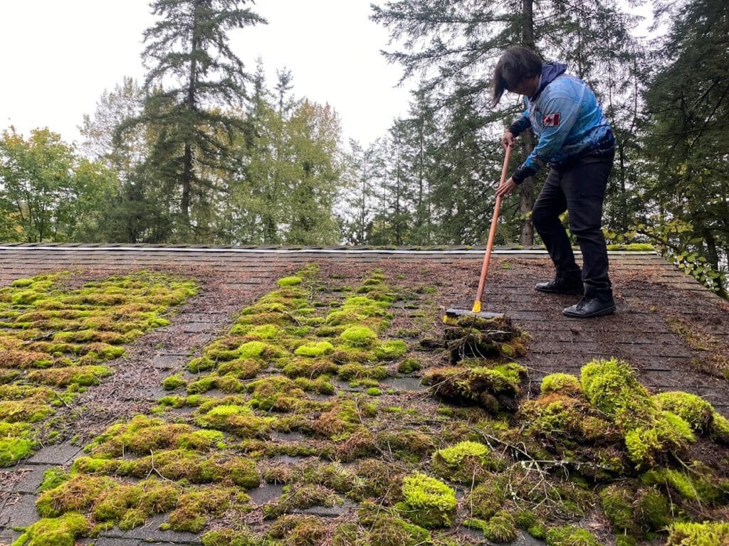 How Often Do You Need To Clean Your Roof